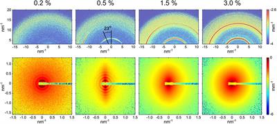 SAXS/WAXS Investigation of Amyloid-β(16-22) Peptide Nanotubes